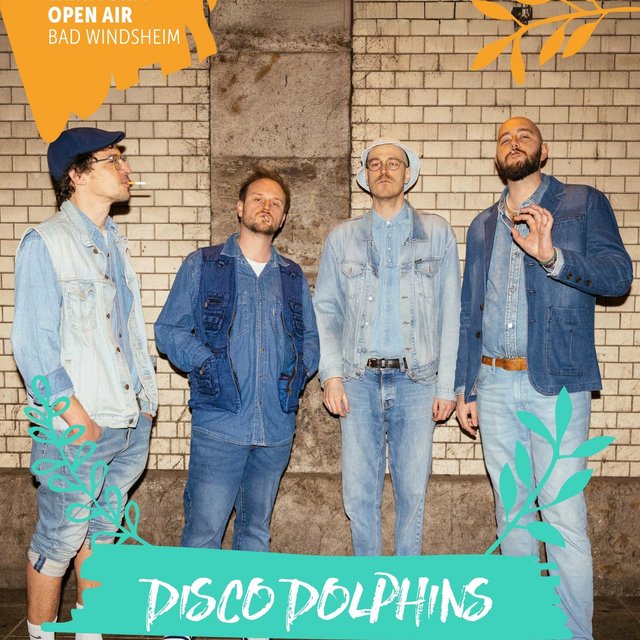Disco Dolphins